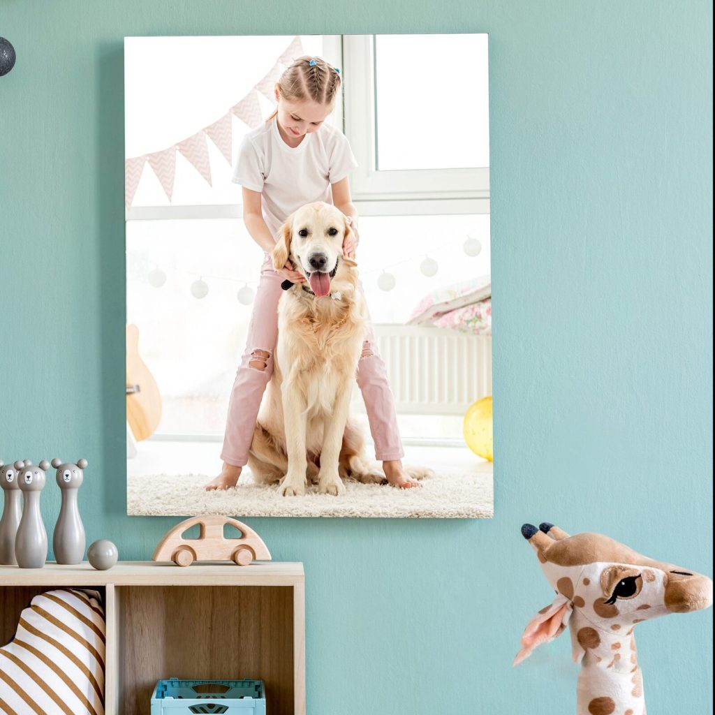 carousel-2 | Photo Zone carousel-2